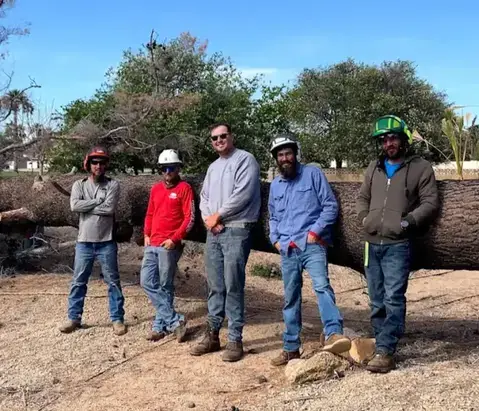 The Twilight Tree and Landscapes crew in front of a felled tree in Phoenix, AZ