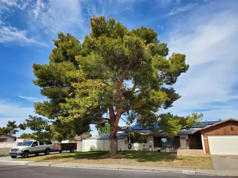 Tree trimming result on a Phoenix, AZ residential property