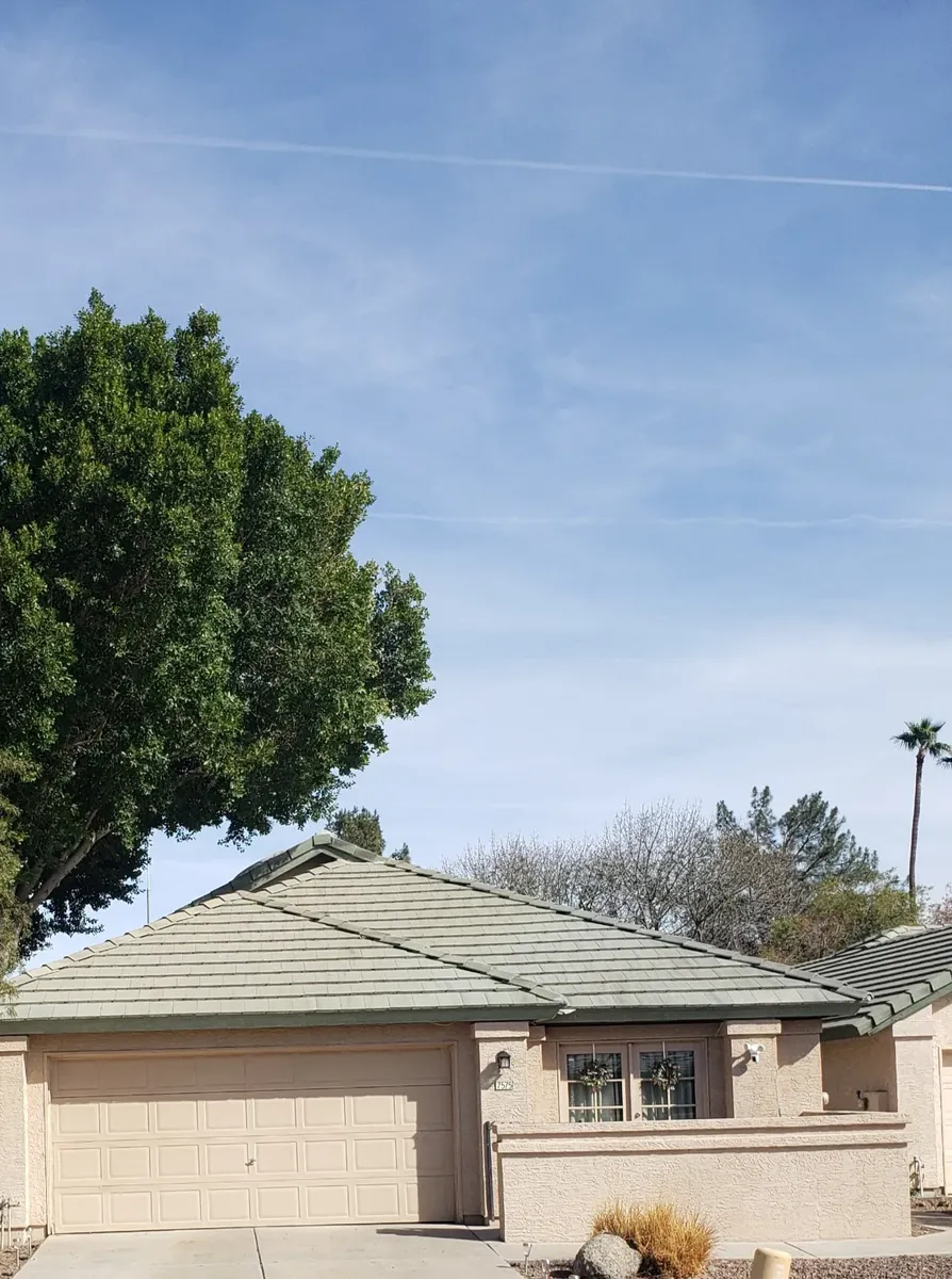 Tree Removal project by Twilight Tree and Landscape Services