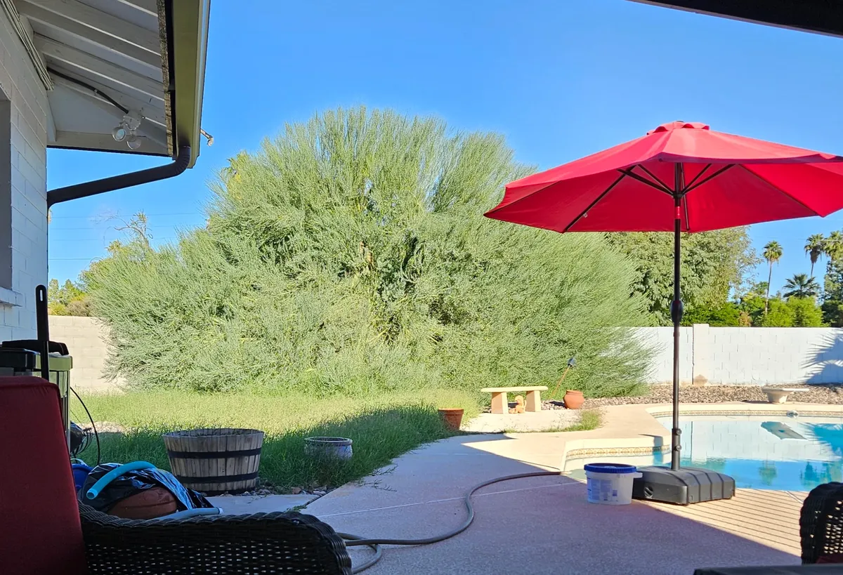 Tree Care project by Twilight Tree and Landscape Services