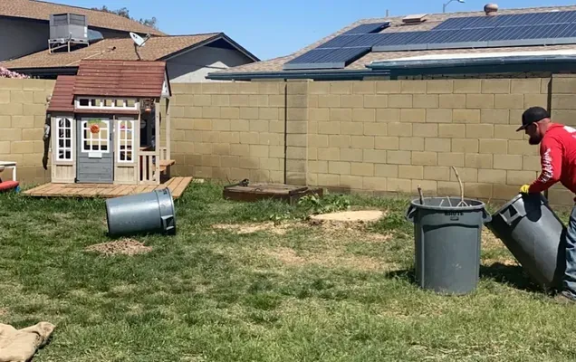 Backyard stump site behind a block wall in Phoenix