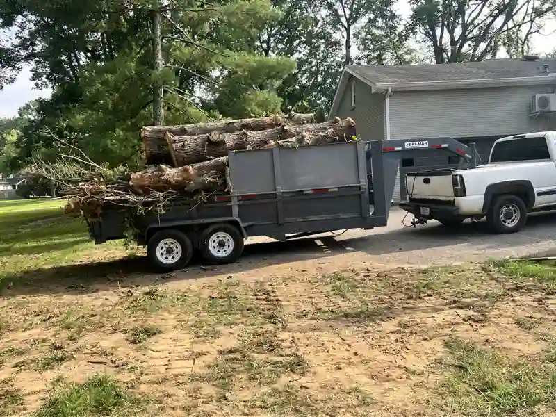 Large tree removal with difficult property access