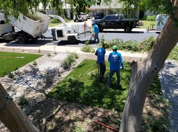 Twilight Tree crew at work on a residential job in Phoenix, AZ